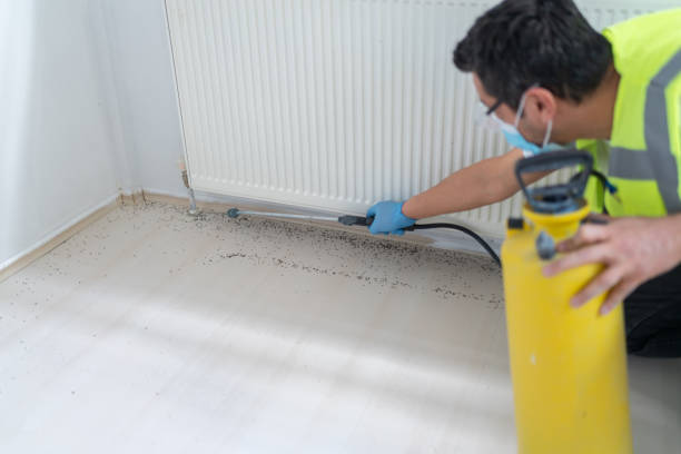 Reliable Rafter J Ranch, WY Pest Control Solutions